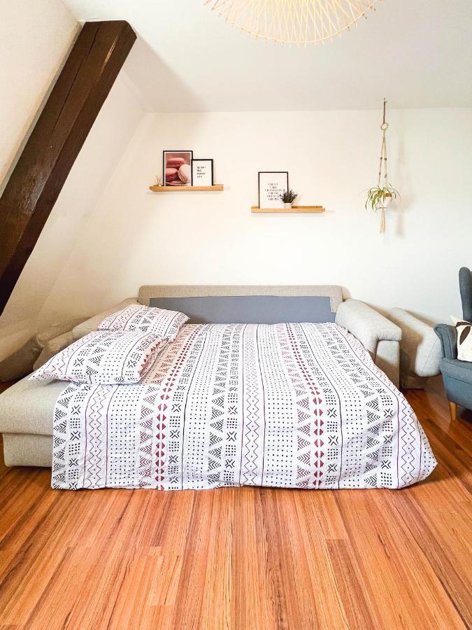 Appart'Hotel Le Dornach - Proche Gare Et Autoroute Mulhouse Eksteriør billede