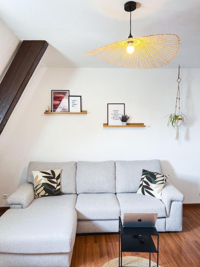 Appart'Hotel Le Dornach - Proche Gare Et Autoroute Mulhouse Eksteriør billede