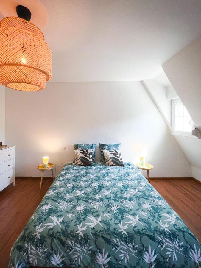 Appart'Hotel Le Dornach - Proche Gare Et Autoroute Mulhouse Eksteriør billede