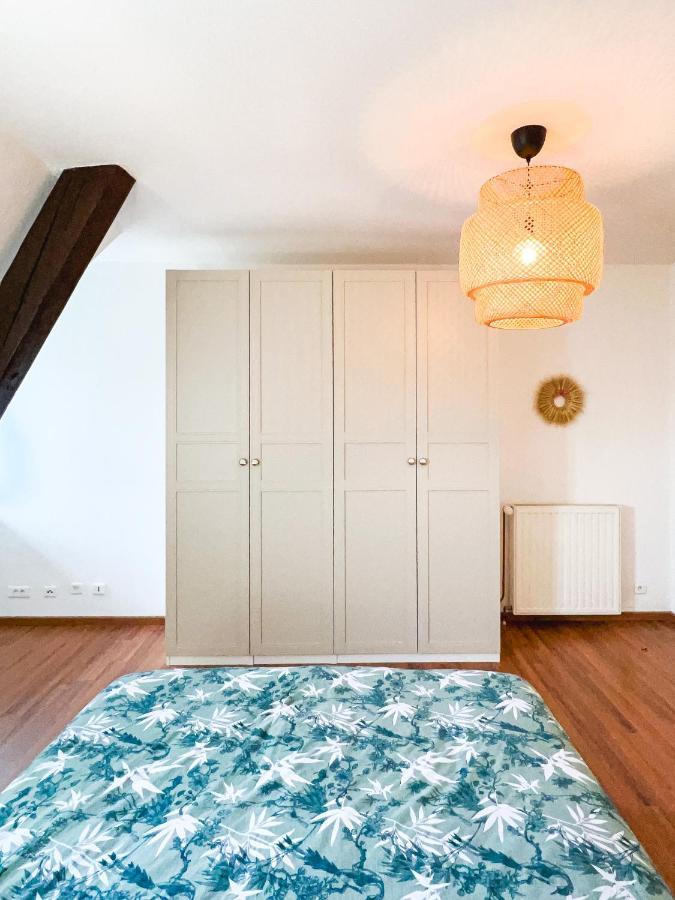 Appart'Hotel Le Dornach - Proche Gare Et Autoroute Mulhouse Eksteriør billede